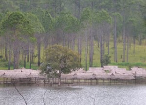 Kirirom National Park - Kampong Speu