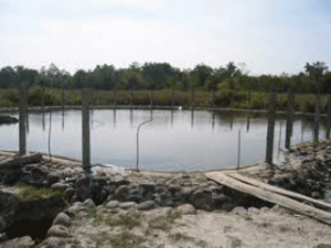 Te Teuk Pus Hot Spring - Kampong Speu