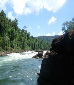 Koh Moul Resort (Koh Kong Krau) - Koh Kong