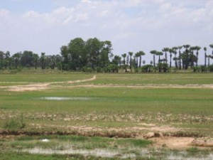 Kampong Sne Damp - Prey Veng