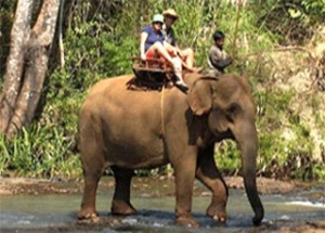 Lumphat Wildlife Sanctuary - Rattanakiri