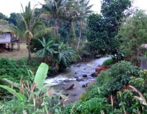 Riverside - Mondulkiri