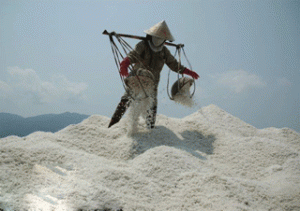 Salt Manufacturing - Kep