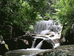 Teuk Chhu Resort - Kampot