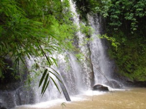 Virochey National Park, Tonle San River & Beyond - Rattanakiri