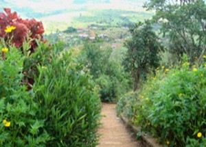 Yok Sros Phlom or Phnom Dos Kramom Resort - Mondulkiri